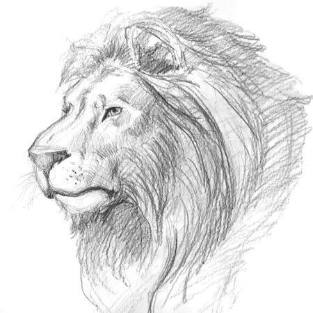 Desenho Tradicional: Nível Intermediário - Image 2