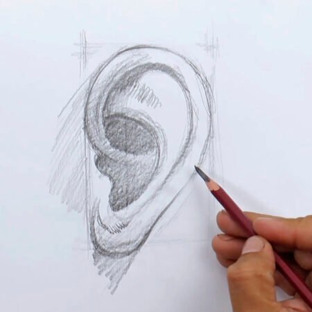 Desenho Tradicional: Nível Básico - Image 3