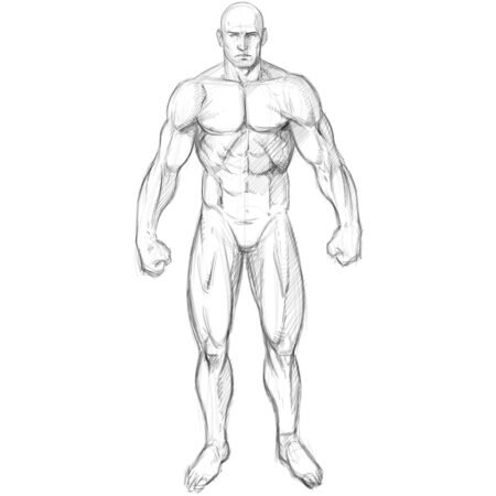 Desenho Tradicional: Nível Intermediário - Image 3
