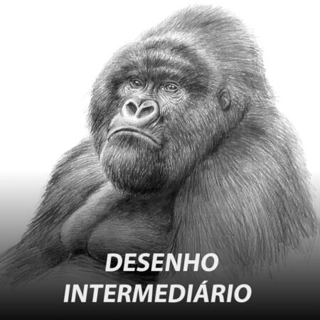 Desenho Tradicional: Nível Intermediário